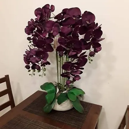 Apartamento Barbora Druskininkai