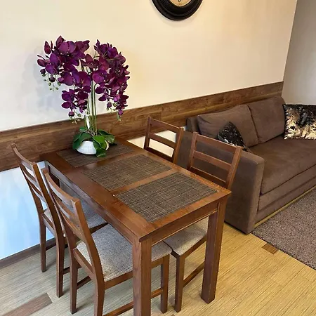 Barbora Apartamento Druskininkai